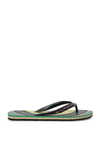 Quiksilver MOLOKAI SCREEN Yeşil Erkek Terlik